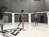 MAORI TELEVISION : Aaron Tau ready to take next step up in MMA